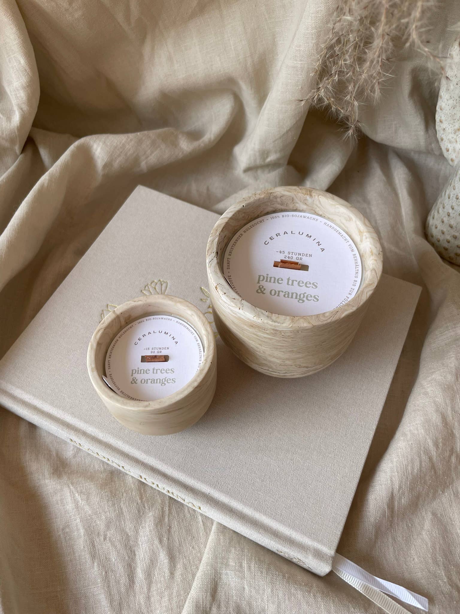 Pine Trees & Oranges Candle