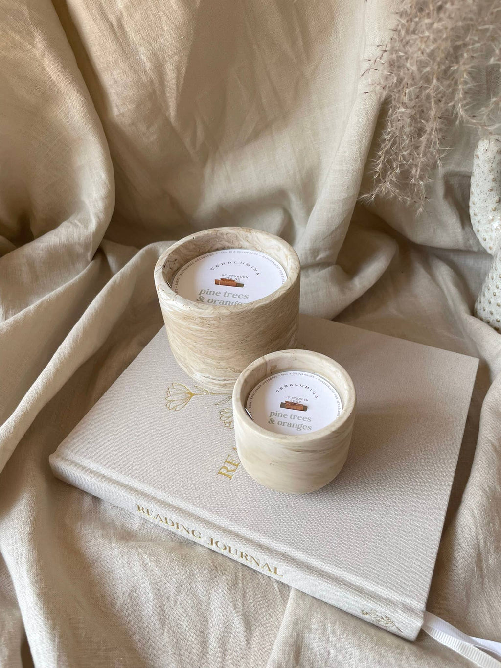 Pine Trees & Oranges Candle